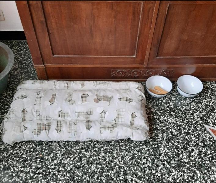 La Tana Dei Conigli Apartment Serra Ricco Ngoại thất bức ảnh
