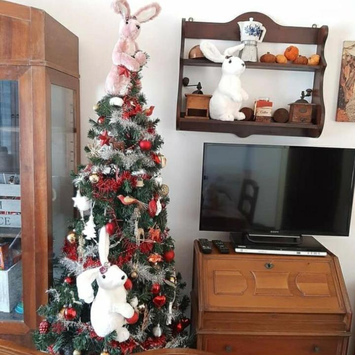La Tana Dei Conigli Apartment Serra Ricco Ngoại thất bức ảnh